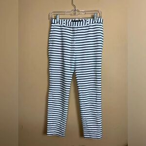 Zara Basic Blue Chambray & White Glen Striped Ankle Pants Size 2